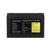 Marsriva MR-LFP12-100-LAR V3