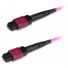 Hyperline FHD-MC3-504-MPOF12/PS-MPOF12/PS-A-5M-LSZH-MG - Hyperline FHD-MC3-504-MPOF12/PS-MPOF12/PS-A-5M-LSZH-MG