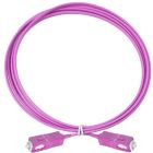  - Eurolan 41E-40-SC-SC-03