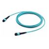 Hyperline FHD-MC3-503-MPOF12/PS-MPOF12/PS-B-2M-LSZH-AQ