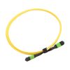 Lanmaster LAN-12M-12M/OS2B-1.0