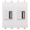 ДКС 4400542 USB зарядное устройство модульное, Avanti, белое облако, 2 модуля, 2.1 А