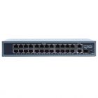  - IPTRONIC PS3-E26P24S1H