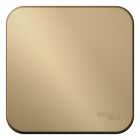  - Выключатель 1-кл. ОП Blanca 10А IP20 (сх. 1) 250В с изолир. пластиной титан SE BLNVA101014