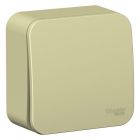  - Выключатель 1-кл. ОП Blanca 10А IP20 (сх. 1) 250В с изолир. пластиной беж. SE BLNVA101017