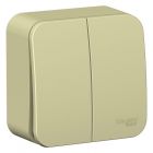  - Выключатель 2-кл. ОП Blanca 10А IP20 (сх. 5) 250В с изолир. пластиной беж. SE BLNVA105017