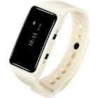  - iBells 67W